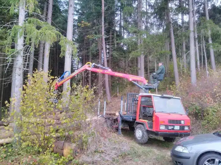 Forstaufbau für Reform Muli