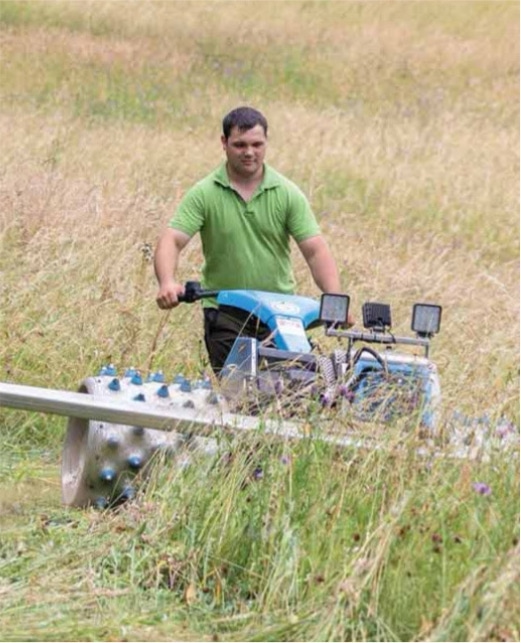 Grasmahd Sommer Fabian hochkant