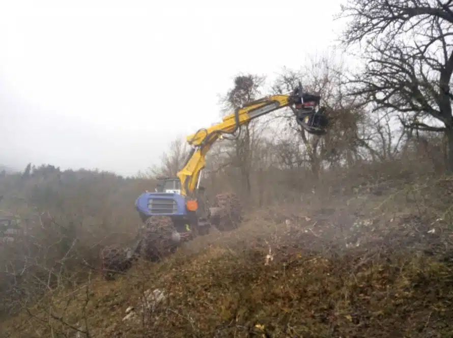 Baumbeschnitt Maschine Hang Nebel