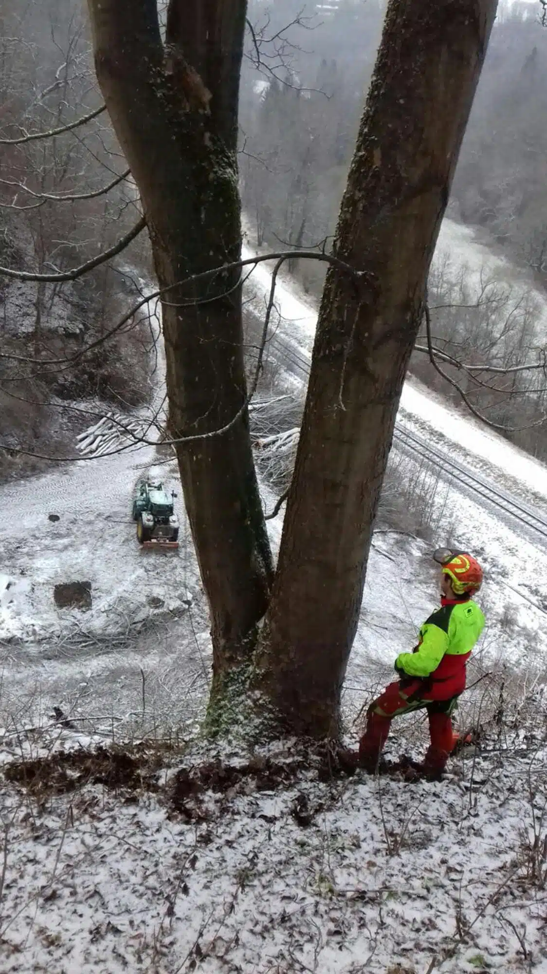 WinterBaumfällung am Hang