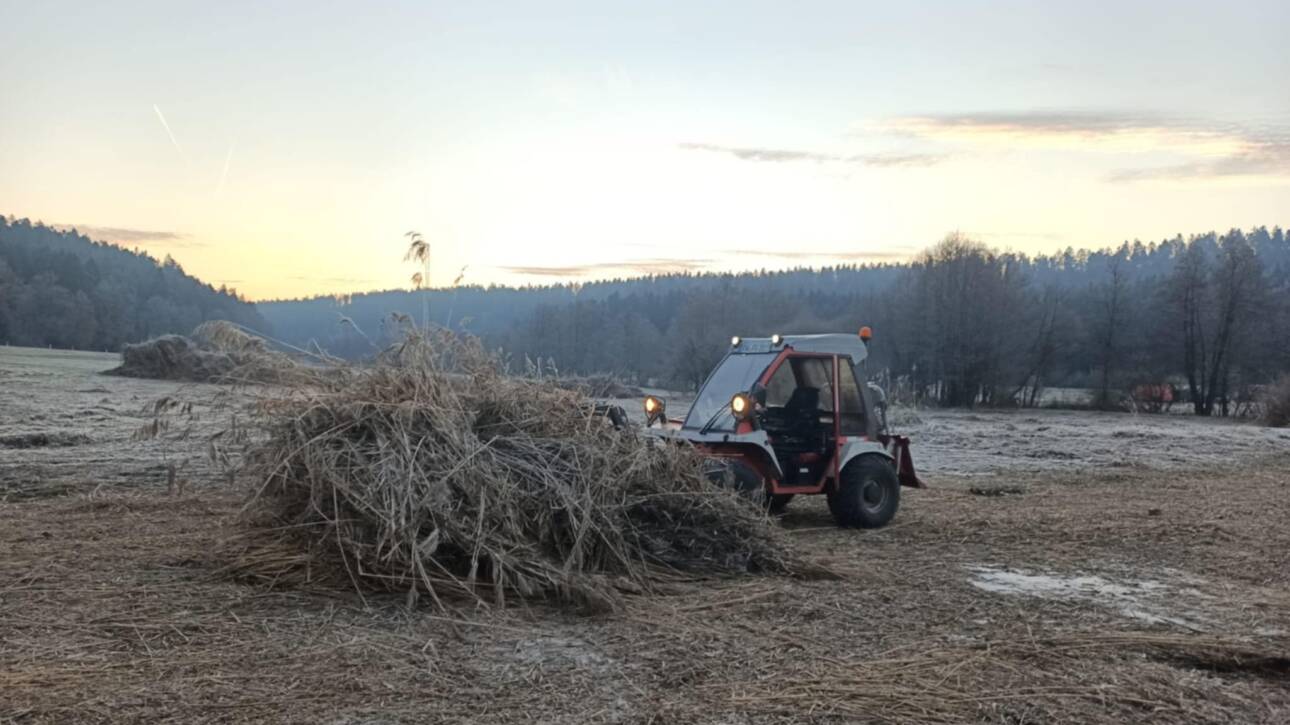 Landschaftspflege Maschinenarbeit Fürnsal Dornhan