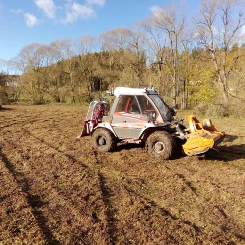 Baumschnitt Werterhalt Verkehrssicherheit Pflege