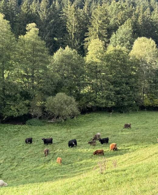 483122334_1185050082992430_7669454111746917441_n