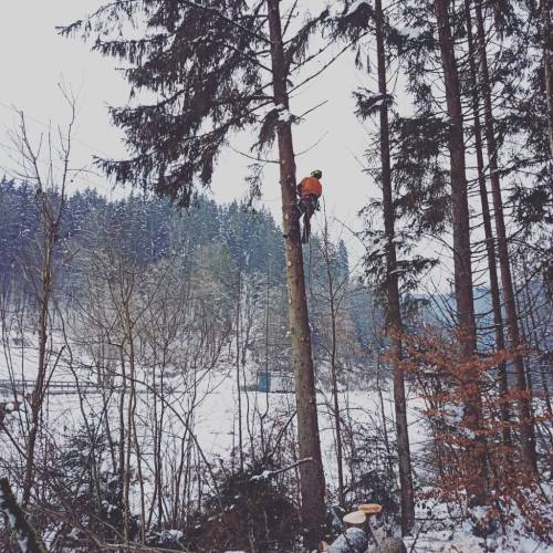 4d470c2a-c4c0-4c68-a66e-b8165516e6a2