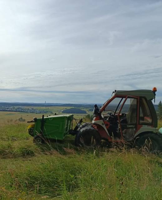 Baumpflege individuelle Pflegekonzepte Fachbetrieb