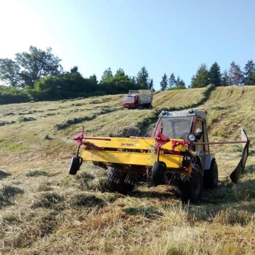 Landschaftspflege Waldpflege Dornhan Fürnsal gesunde Bestände