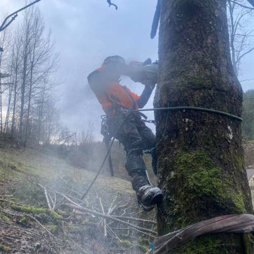 73ea10de-487f-41f8-8543-9d11bb4a4b8a