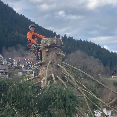 7e4b87d1-7579-42f5-9c7e-6931dcd56430