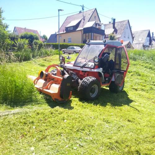 Kommunalarbeiten Holzernte nachhaltige Forstwirtschaft Service