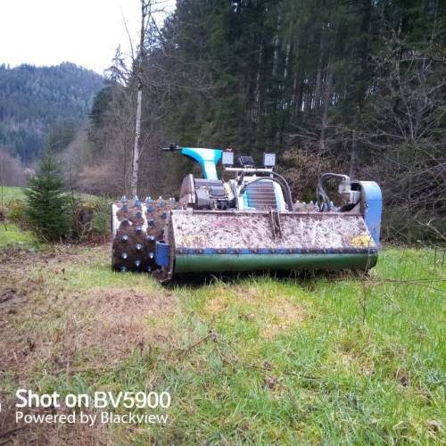 Kommunalarbeiten Baumpflege regelmäßige Pflege Kontrolle