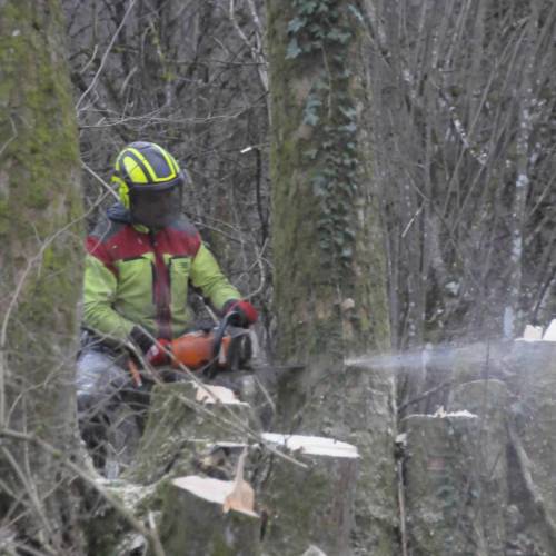 Grünpflege Dornhan Fürnsal ganzjährig professionell
