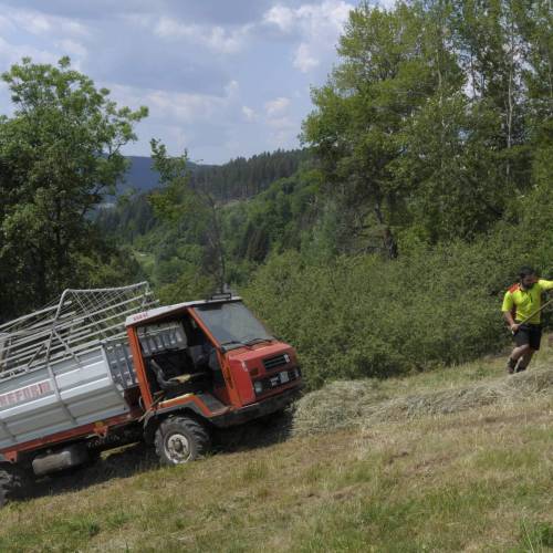 Landschaftspflege Forstpflege Dornhan Fürnsal langfristige Pflege
