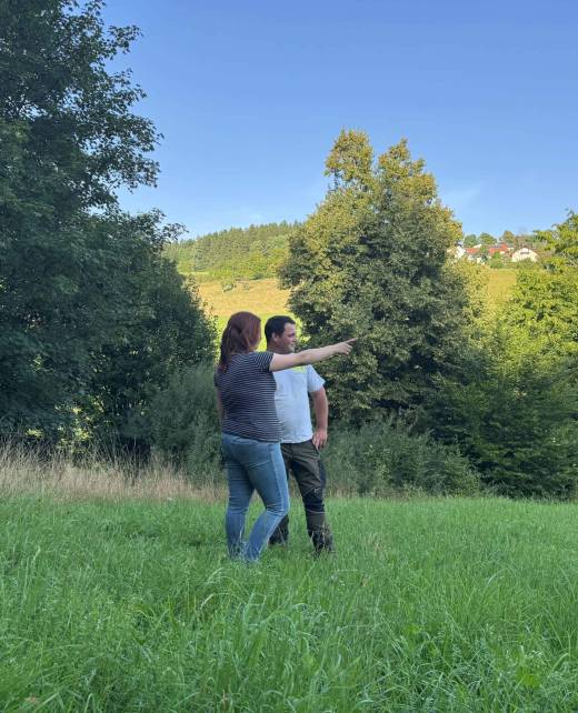 Fachberatung Waldpflege Dornhan Fürnsal stabile Wälder