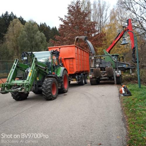 Kommunalarbeiten Baumfällung sichere Durchführung Forst
