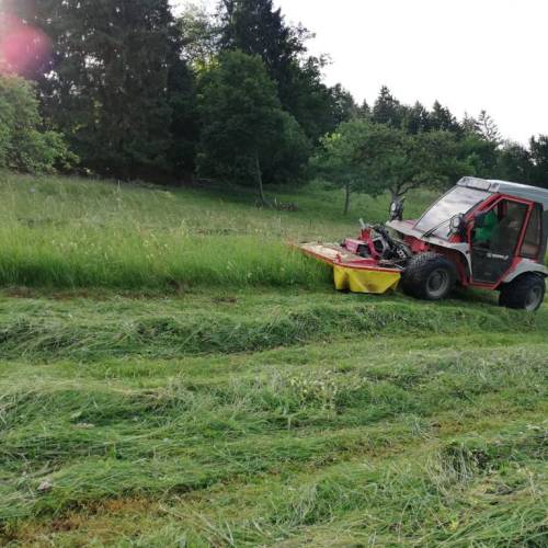 Landschaftspflege Baumpflege Dornhan Fürnsal Werterhalt Sicherheit