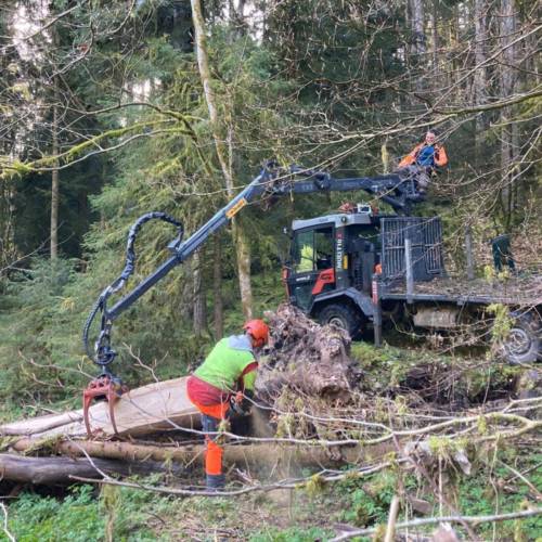 Kommunalarbeiten Holzrückung moderne Forsttechnik