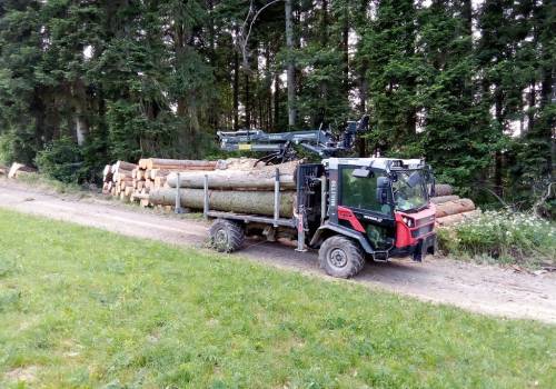Forstwirtschaft