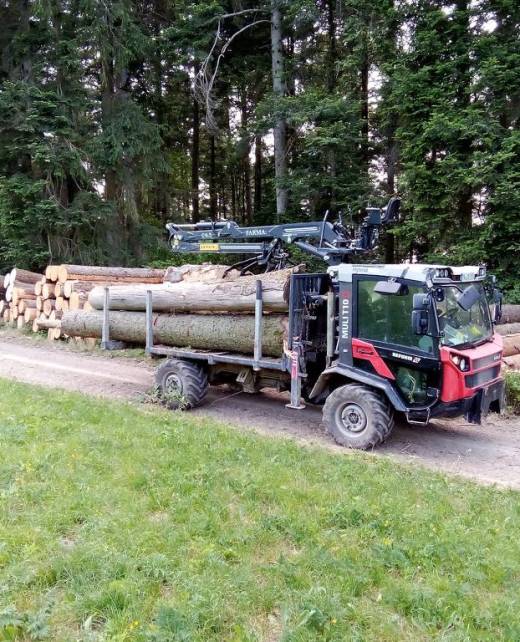 ef3618e8-7d5c-40f0-aaab-dd1ff849d80f Forstwirtschaft