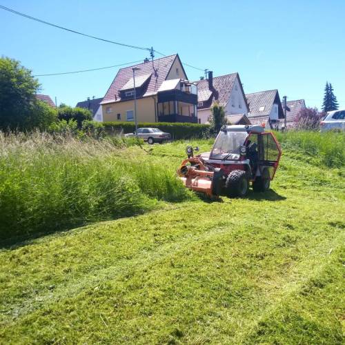 Kommunalarbeiten Waldpflege langfristige Pflegeplanung
