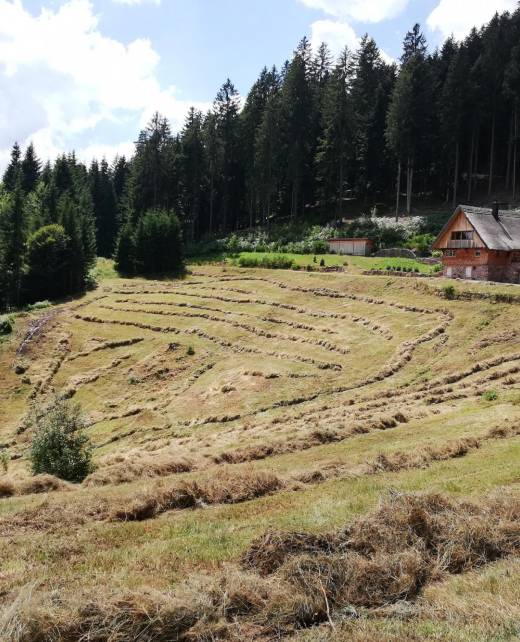 img-20180713-145101_c2000_2000