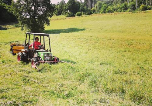 Grasbeschnitt Traktor Wald