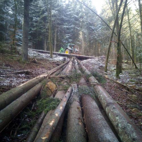 Holzernte Dornhan Fürnsal strukturierte Abläufe