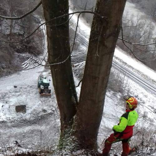 Holzrückung Dornhan Fürnsal effiziente Logistik