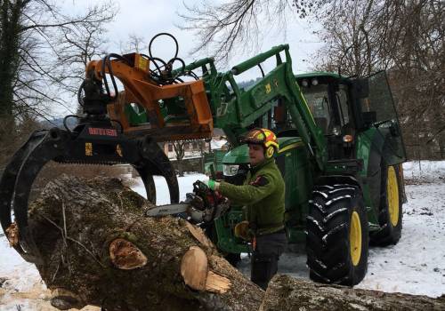 Baum beschneiden mit Traktor Winter