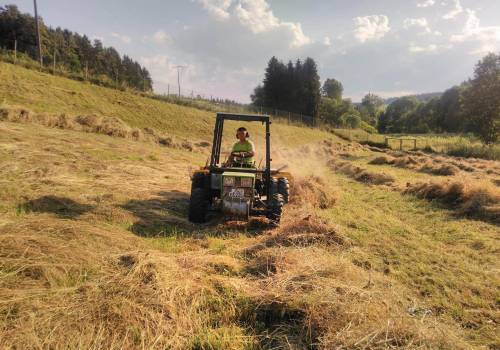 Heu Traktor Sommer