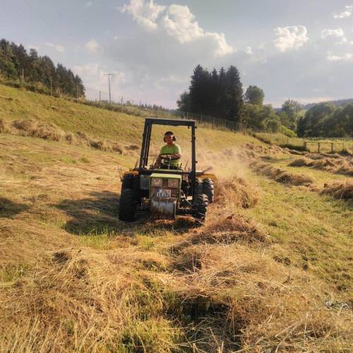 Heu Traktor Sommer