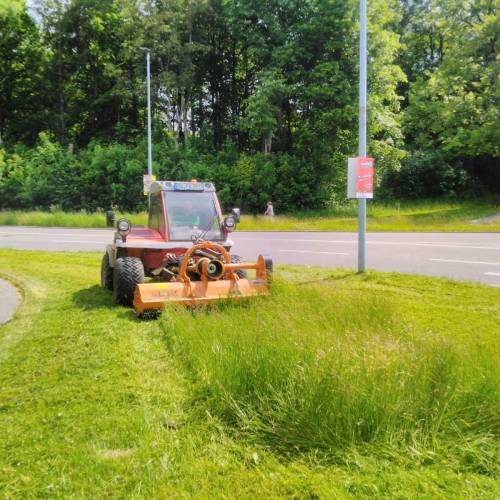 Forstpflege Arbeiten im Wald